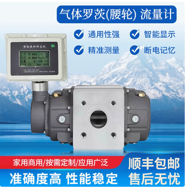 LLQ-25氣體羅茨腰輪流量計(jì)