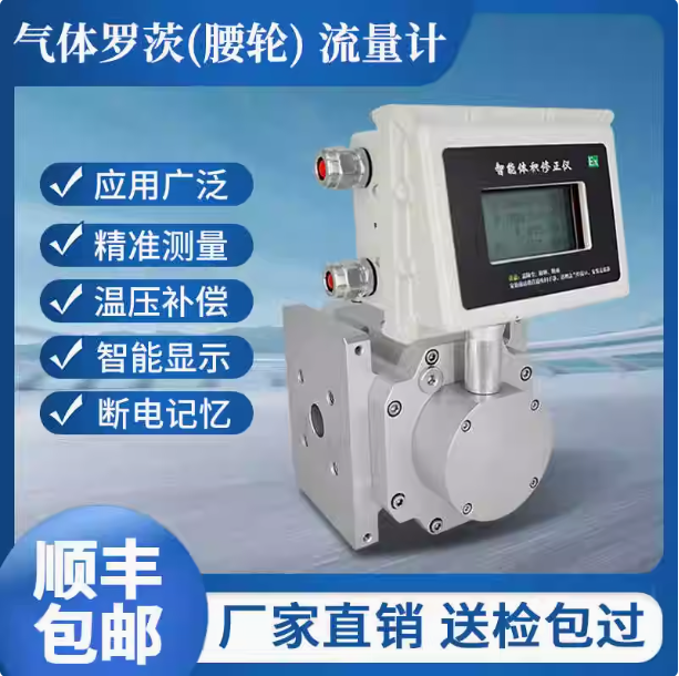LLQ-125氣體羅茨腰輪流量計...