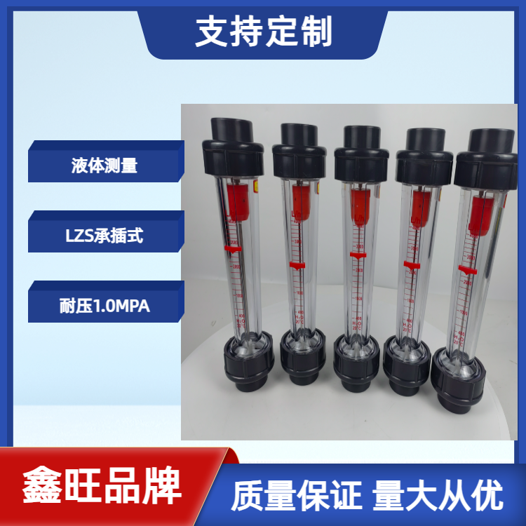 LZS-20塑料管浮子流量計(jì)